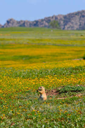 Wichita Mountain National Wildlife Refuge