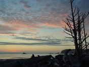 Olympic National Park