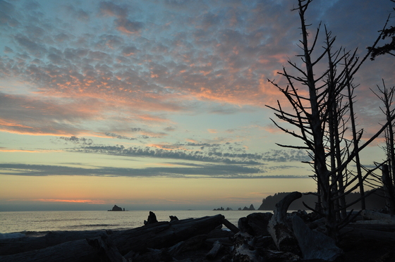 Olympic National Park