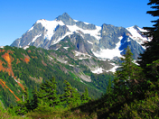 Mt. Baker - Snoqualmine National Forest