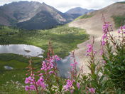 San Juan National Forest