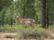 Bryce Canyon National Park