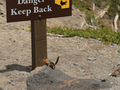 Crator Lake National Park