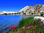 Yosemite National Park