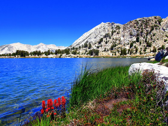 Yosemite National Park