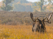 Grand Teton National Park