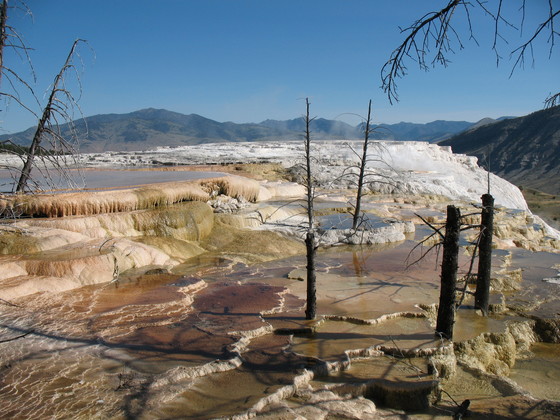 Yellowstone