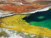 Yellowstone National Park