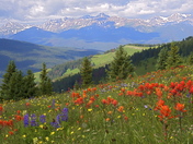 White River National Forest