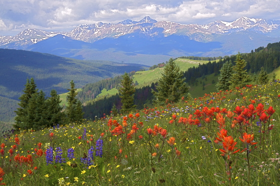 White River National Forest