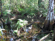 Everglades National Park