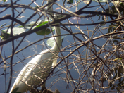 Everglades National Park