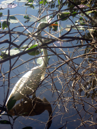 Everglades National Park