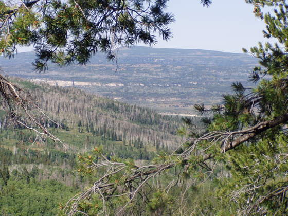 Dixie National Forest