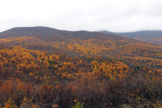 Shenandoah National Park