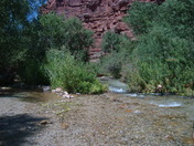 Grand Canyon National Park