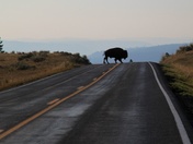 Yellowstone National Park