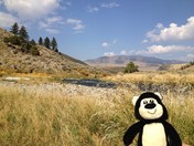 Yellowstone National Park