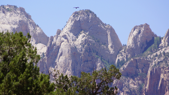 Zion National Park