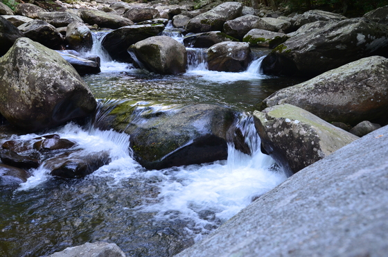 Smokey Mountains 