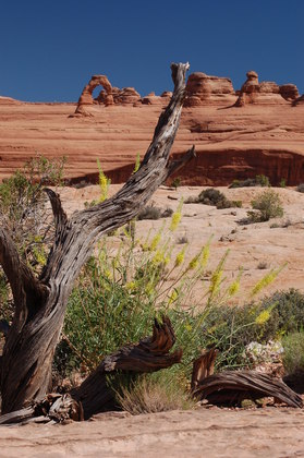 Arches National Park