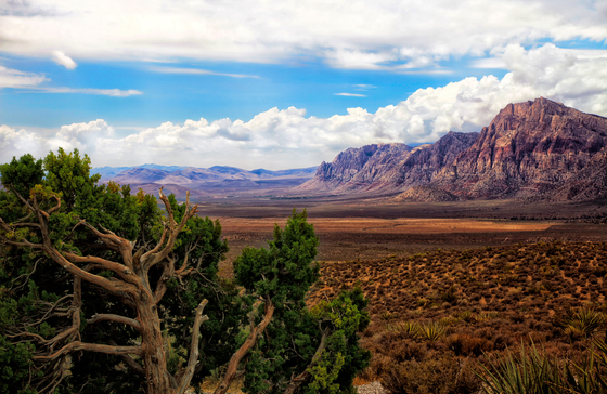 Red Rock Canyon