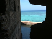 dry tortugas national park