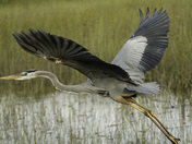 Everglades National Park