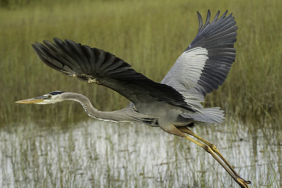 Everglades National Park