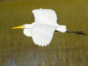 Everglades National Park