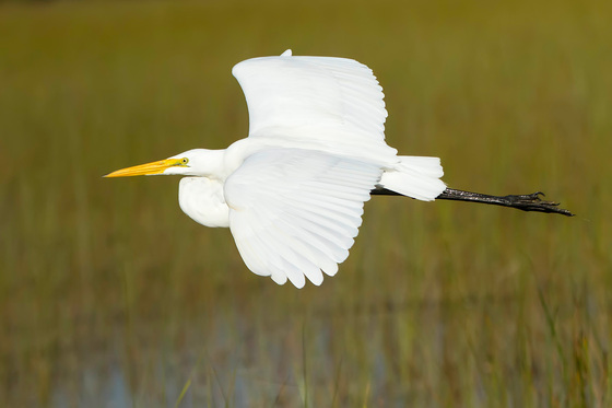 Everglades National Park
