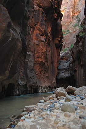 Zion NP