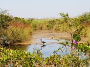 Gulf Islands National Seashore 