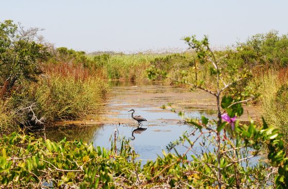 Gulf Islands National Seashore 
