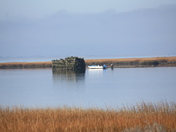 Chincoteague Wildlife Refuge
