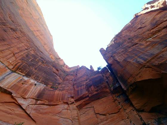 Zion National Park