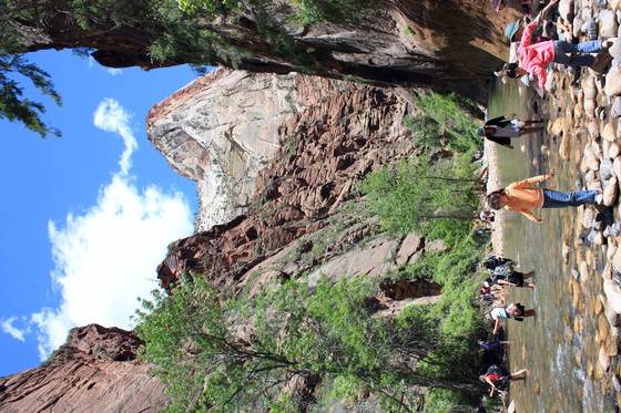Zion National Park