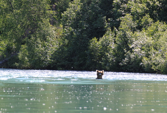 Lake Clark National Lake