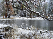 Lassen National Forest