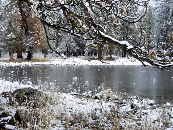 Lassen National Forest