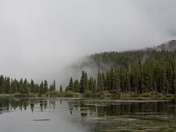 Uncompahgre National Forest