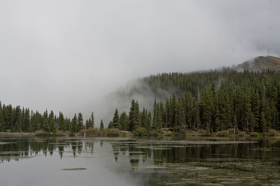 Uncompahgre National Forest