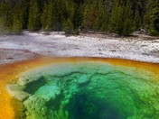 Yellowstone