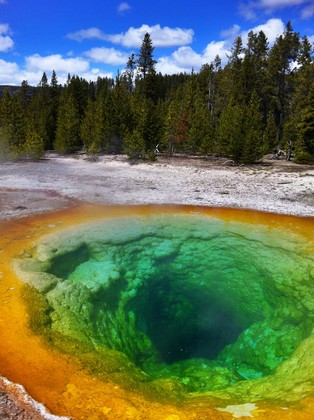 Yellowstone