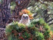 Rocky Mountain National Park
