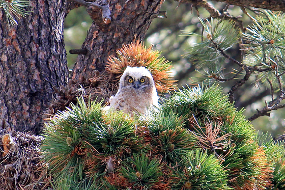 Rocky Mountain National Park