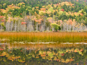 Acadia National Park