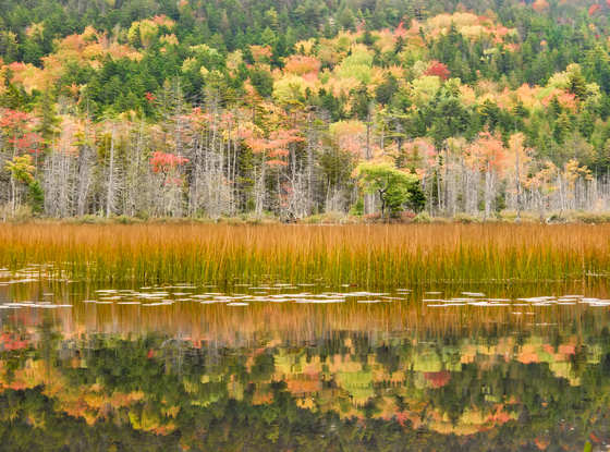 Acadia National Park