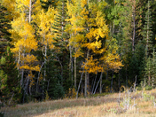 Rocky Mountain National Park