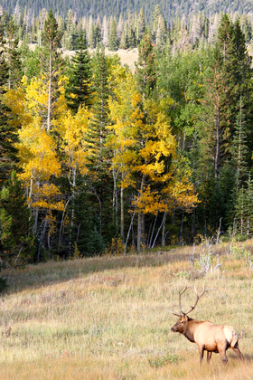 Rocky Mountain National Park